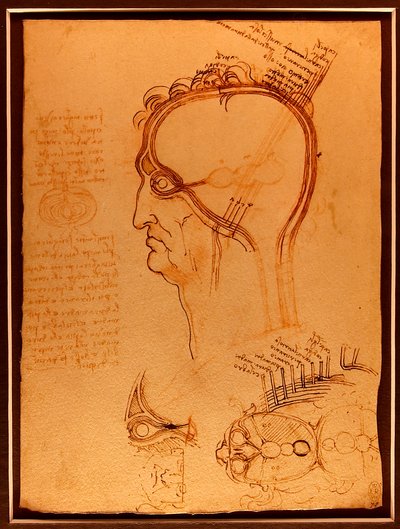 Study of a Skull by Leonardo da Vinci